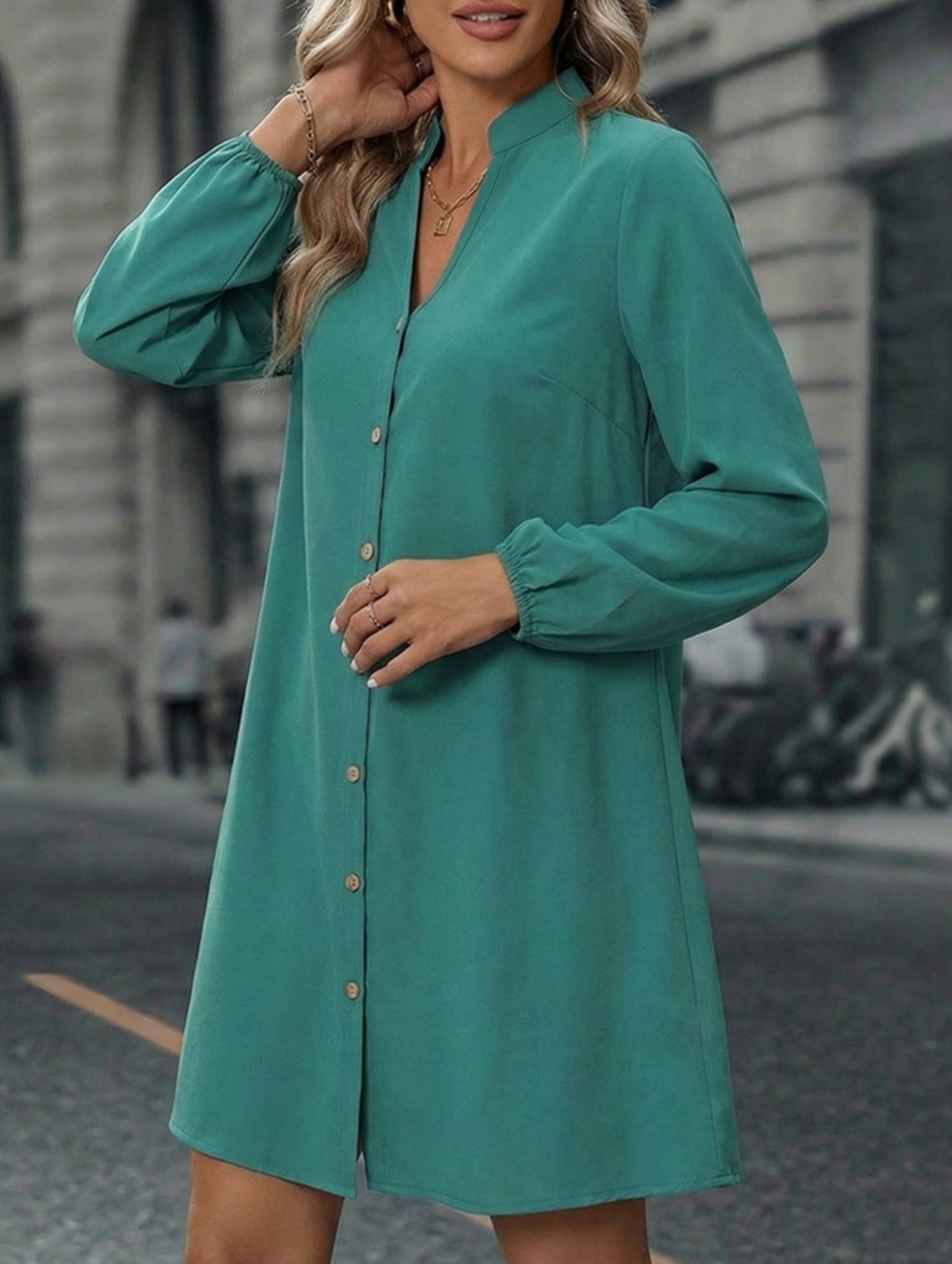Anna-Berg | Solid Long Sleeve A-Line Dress