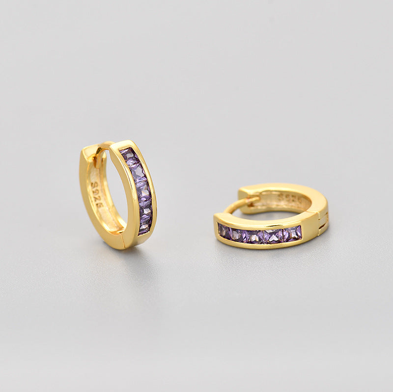 Circle Zircon Earrings